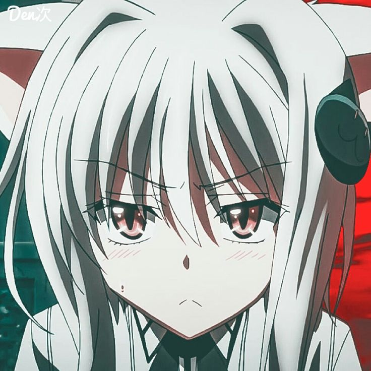 Koneko &#39;Shirone&#39; 剧照