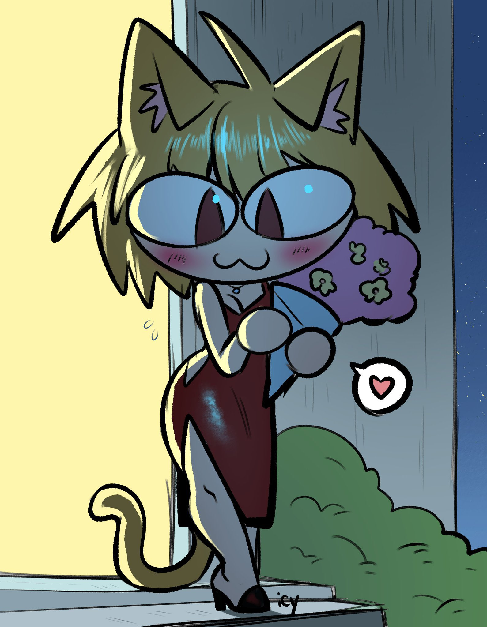 与尼科弧的浪漫