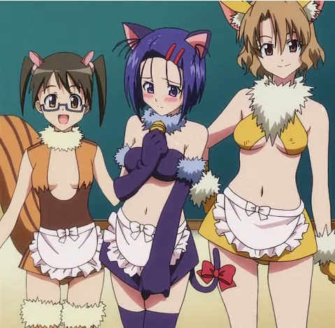 不情愿的粉丝服务女孩 (TV Tropes)