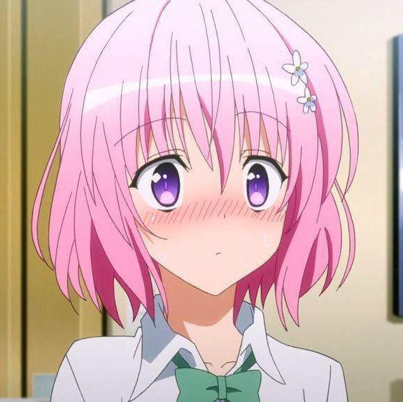 莫莫少年德维鲁克