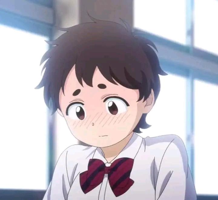 诺科诺科拉德科米桑