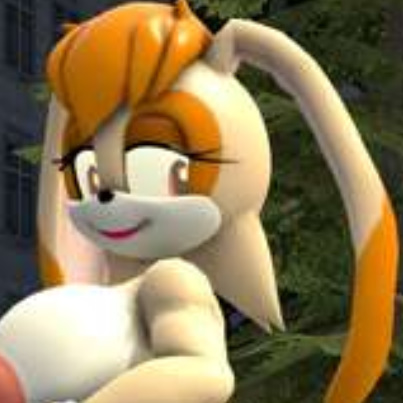 兔妈妈（非粪便）